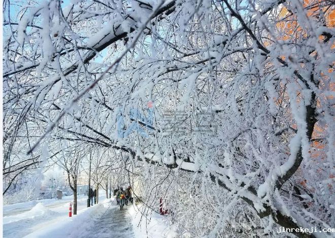 北京公园冬季树挂人造系统